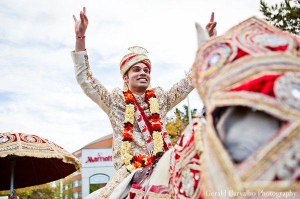 indian wedding groom baraat celebration