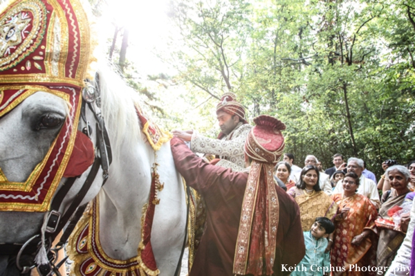 indian-wedding-baraat-horse-groom