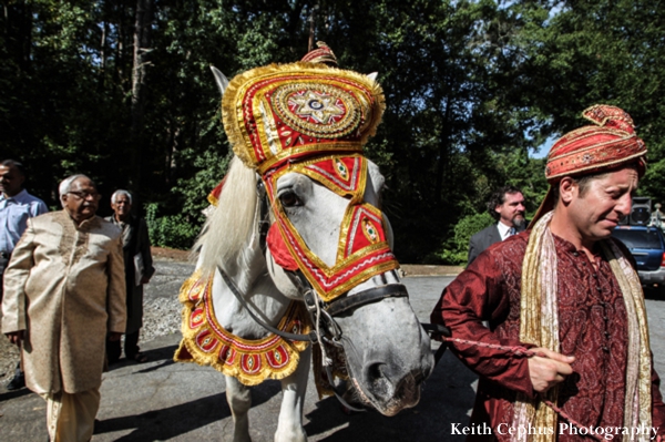 indian-wedding-baraat-horse-guests