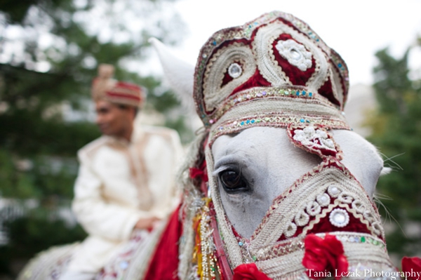 indian-wedding-ceremony-baraat-groom-horse