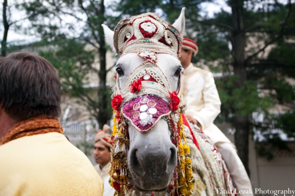 indian-wedding-ceremony-baraat-horse-groom
