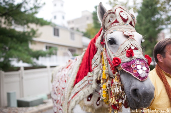 indian-wedding-ceremony-baraat-horse