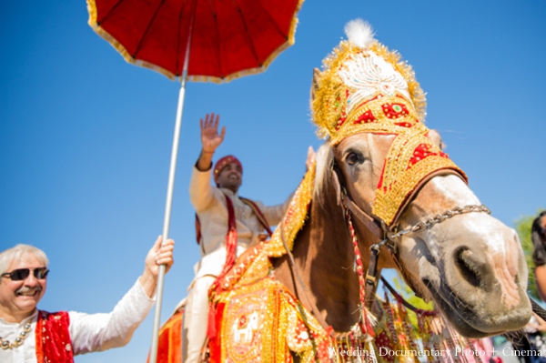 indian-wedding-baraat-tradtional-white-horse