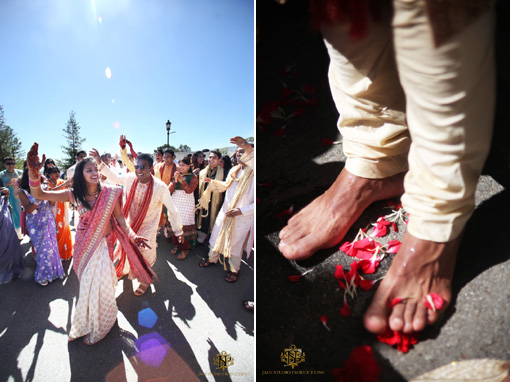 Indian wedding baraat 2 copy