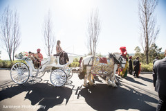 The horse and carriage at the baraat!
