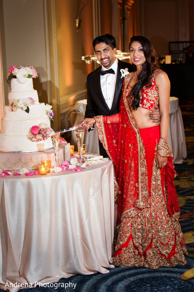 Marina del Rey CA Indian  Wedding  by Andrena Photography 